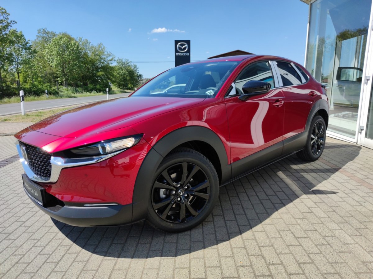 Mazda CX-30 CX-30 Homura inkl Leasing-Bonus LogIn RFK Klimaa - 